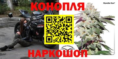 МДПВ Ирбит