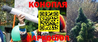 МДПВ Ирбит